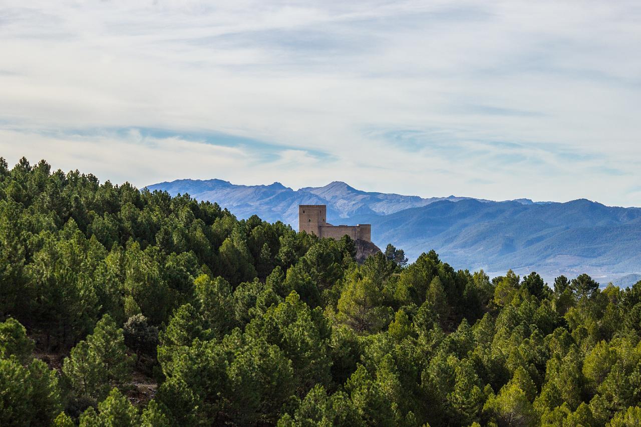 Huertos De Segura